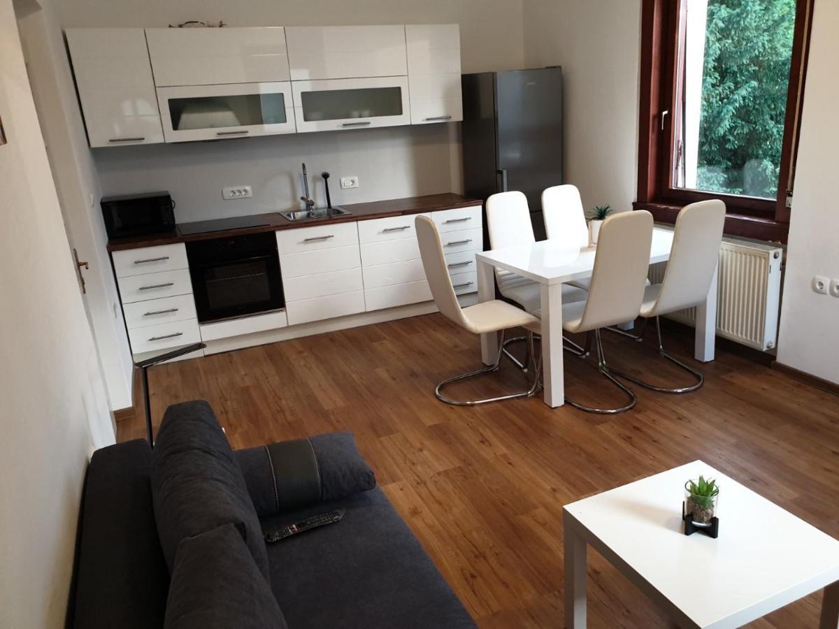 Huge Bbq Garden 2, Spacious Flat, Ac, Free Parking 2 Ljubljana Exterior photo