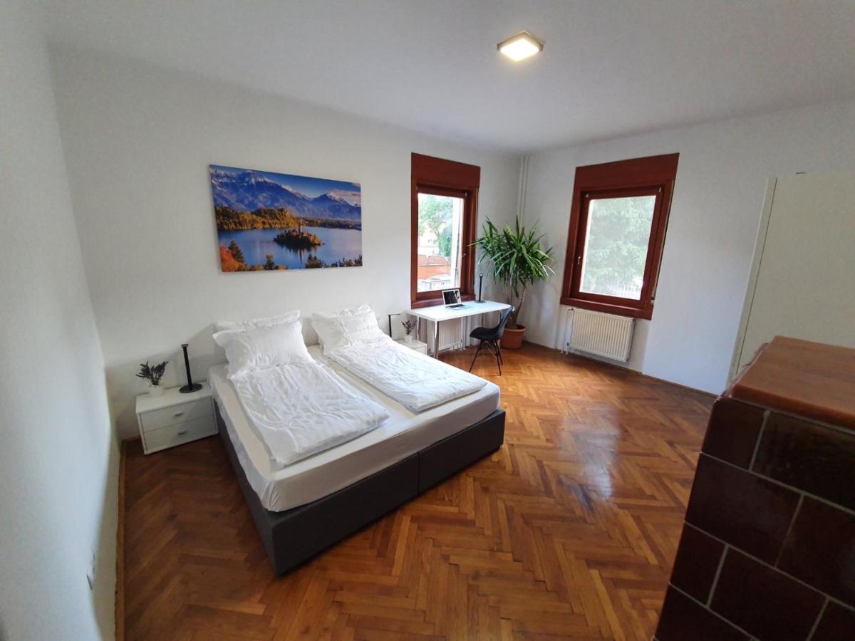 Huge Bbq Garden 2, Spacious Flat, Ac, Free Parking 2 Ljubljana Exterior photo