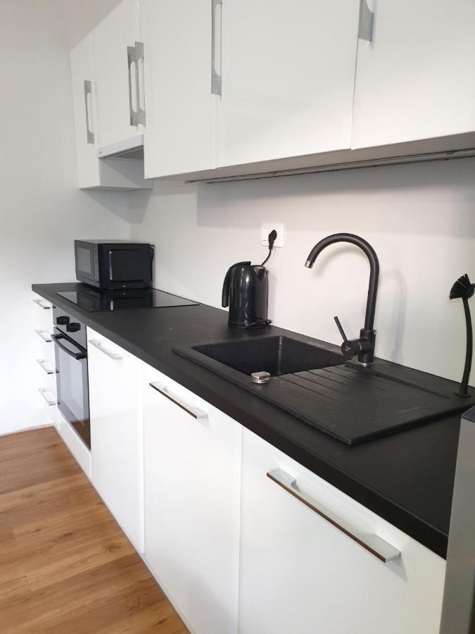 Huge Bbq Garden 2, Spacious Flat, Ac, Free Parking 2 Ljubljana Exterior photo