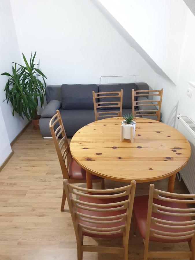 Huge Bbq Garden 2, Spacious Flat, Ac, Free Parking 2 Ljubljana Exterior photo