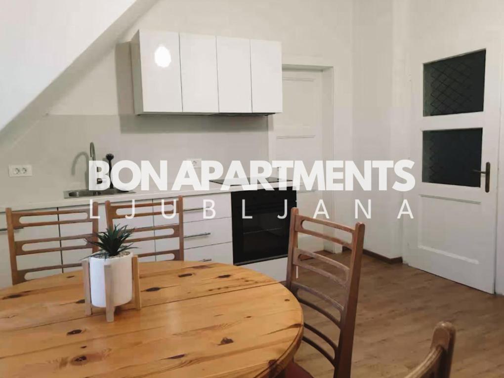 Huge Bbq Garden 2, Spacious Flat, Ac, Free Parking 2 Ljubljana Exterior photo