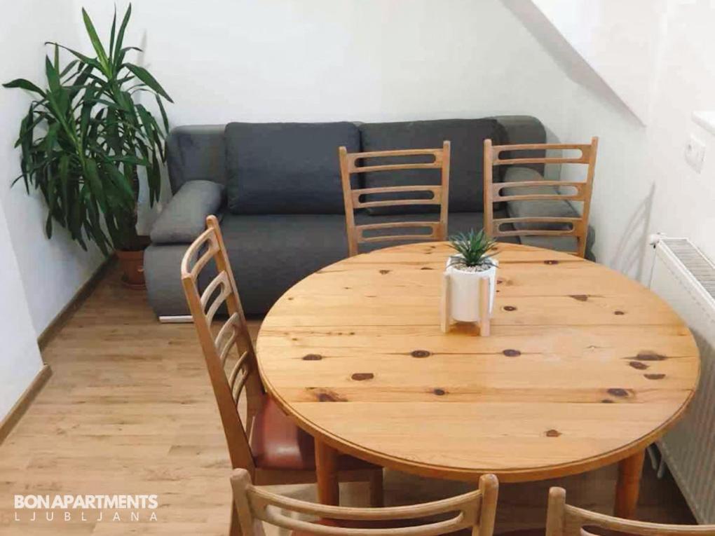 Huge Bbq Garden 2, Spacious Flat, Ac, Free Parking 2 Ljubljana Exterior photo